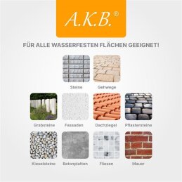 A.K.B.die Steinreich, Steindusche (2,5L) Steinreiniger, Algenvernichter, saubere Wege und Plätze, Grünbelagentferner, Fassadenreiniger