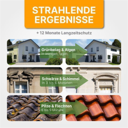 2.Wahl,SteinS 1L,A.K.B. Steinreiniger und Fassadenreiniger S Konzentrat, 2221 (1 Liter) , effektiver Dachreiniger !  idealer Flechtenentferner  Pilzentferner  Grünbelagentferner